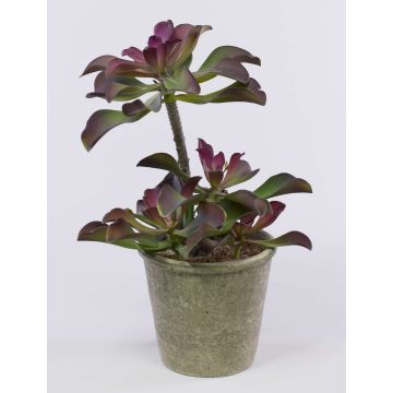 Echeveria artificial SHAUNA en maceta decorativa, verde-morado, 40cm Echeveria artificial SHAUNA en maceta decorativa, verde-morado, 40cm