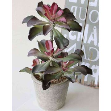 Echeveria artificial SHAUNA en maceta decorativa, verde-morado, 40cm