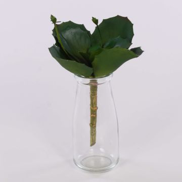Kalanchoe artificial STAMATIA en vara de fijación, verde, 20cm Kalanchoe artificial STAMATIA en vara de fijación, verde, 20cm