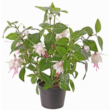 Arbusto fuchsia artificial THAYNARA, con flores, rosa pálido, 30cm, Ø5cm Arbusto fuchsia artificial THAYNARA, con flores, rosa pálido, 30cm, Ø5cm