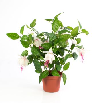 Arbusto fuchsia artificial THAYNARA, con flores, rosa palo, 30cm