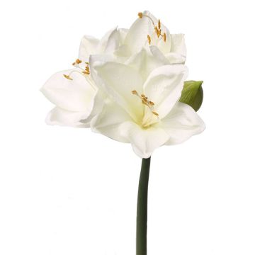 Amaryllis flor sintética BENITA, blanco, 55cm, Ø10cm Amaryllis flor sintética BENITA, blanco, 55cm, Ø10cm