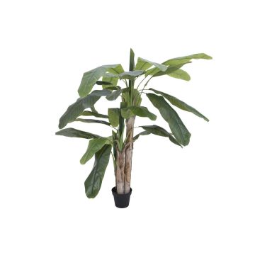 Banano de plástico MAKANI, 170cm