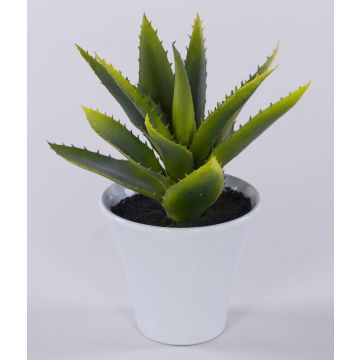 Aloe Vera artificial ROSALINA en maceta de cerámica, verde, 21cm Aloe Vera artificial ROSALINA en maceta de cerámica, verde, 21cm