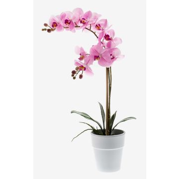 Orquídea Phalaenopsis sintética CANDIDA tiesto cerámica, rosa, 65cm, Ø7-8cm Orquídea Phalaenopsis sintética CANDIDA tiesto cerámica, rosa, 65cm, Ø7-8cm
