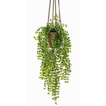 Cesta colgante ficus pumila artificial SILIJA, tiesto terracota, verde, 80cm Cesta colgante ficus pumila artificial SILIJA, tiesto terracota, verde, 80cm