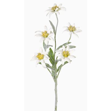 Ramillete de delweiss artificial SOPHIA, blanco, 40cm, &Oslash;5-6cm