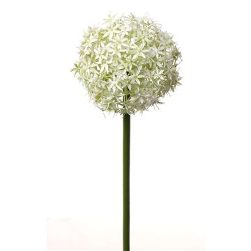 Flor de Allium artificial SAMARA, crema, 75cm, Ø12cm
