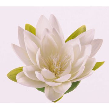 Lírio de agua sintético SCILLA, flotante, crema, 4cm, Ø16cm
