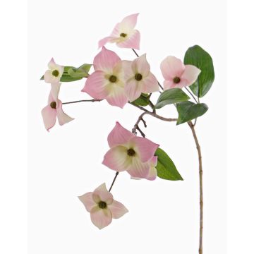 Rama cornejo japonés artificial KOHANA, con flores, rosa-crema, 65cm, Ø4-8cm Rama cornejo japonés artificial KOHANA, con flores, rosa-crema, 65cm, Ø4-8cm