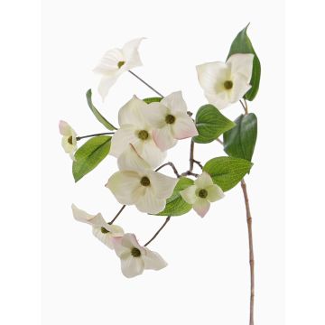 Rama cornejo japonés artificial KOHANA, con flores, crema, 65cm, Ø4-8cm