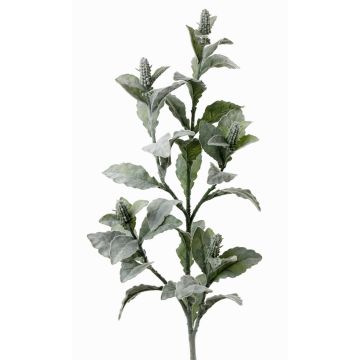 Rama de oreja de liebre artificial ODIL, gris-verde, 105cm