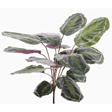 Calatea sintética BRIHANNA, en vara de fijación, verde, 75cm Calatea sintética BRIHANNA, en vara de fijación, verde, 75cm
