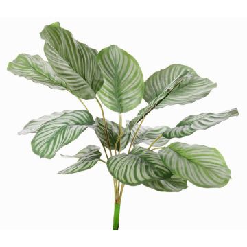 Calatea artificial ZAIDA, en vara de fijación, verde, 75cm Calatea artificial ZAIDA, en vara de fijación, verde, 75cm