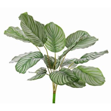 Calatea artificial ZAIDA, en vara de fijación, verde, 75cm