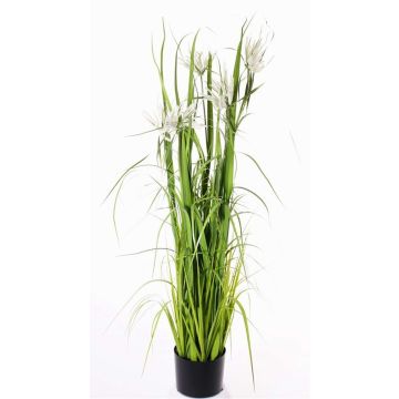 Hierba estrella artificial TAIGA con panículas, verde, 140cm Hierba estrella artificial TAIGA con panículas, verde, 140cm