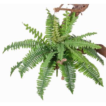 Helecho Boston artificial ARALU, vara de fijación, verde, 35cm, Ø40cm Helecho Boston artificial ARALU, vara de fijación, verde, 35cm, Ø40cm