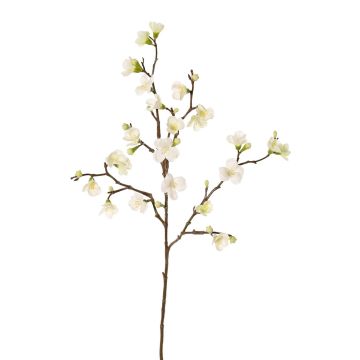Rama de manzano artificial SADAKA, con flores, crema, 70cm, Ø3-4cm Rama de manzano artificial SADAKA, con flores, crema, 70cm, Ø3-4cm
