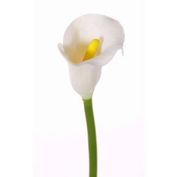 Calla artificial CHIDORA, blanco, 55cm, 4,5x5,5cm Calla artificial CHIDORA, blanco, 55cm, 4,5x5,5cm