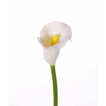 Calla artificial CHIDORA, blanco, 55cm, 5x6cm