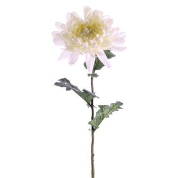 Crisantemo sintético AMANDI, blanco, 75cm, Ø15cm Crisantemo sintético AMANDI, blanco, 75cm, Ø15cm