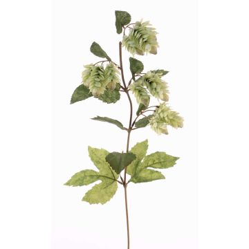 Rama de lúpulo artificial AXEL, con flor, verde, 65cm