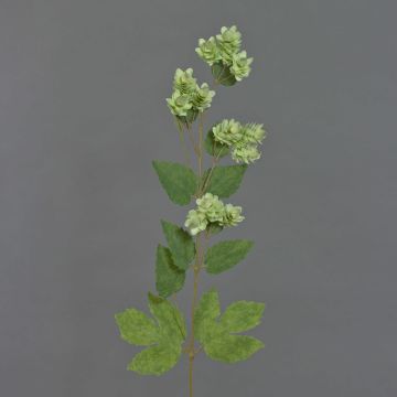 Rama de lúpulo artificial AXEL, con flor, verde, 65cm