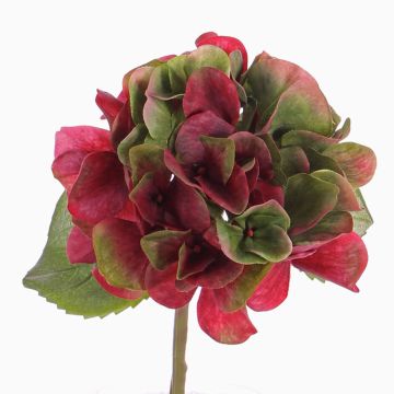 Mini hortensia artificial CHIDORI, rojo-verde, 30cm, Ø13cm Mini hortensia artificial CHIDORI, rojo-verde, 30cm, Ø13cm