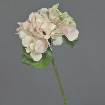 Mini hortensia artificial CHIDORI, crema-rosa, 30cm, Ø13cm