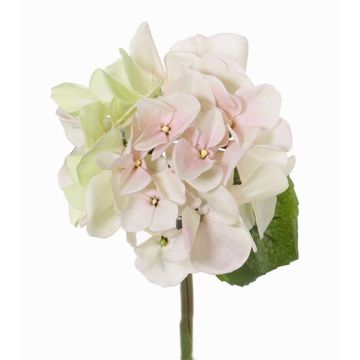 Mini hortensia artificial CHIDORI, crema-rosa, 30cm, Ø13cm Mini hortensia artificial CHIDORI, crema-rosa, 30cm, Ø13cm