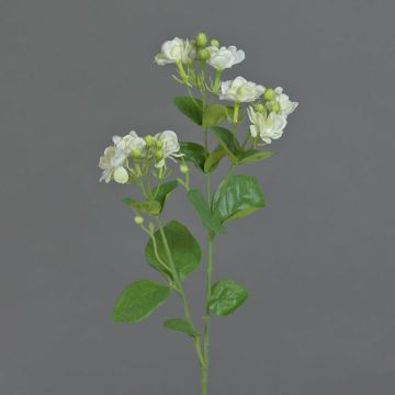 Rama de jazmín sintético SINJA, blanco-verde, 60cm, Ø4cm