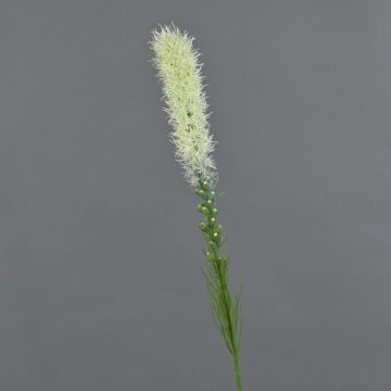 Liatris artificial MITSA, crema, 80cm, Ø5cm