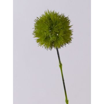 Panícula de eriophorum artificial ZORRO, blanco-verde, 45cm