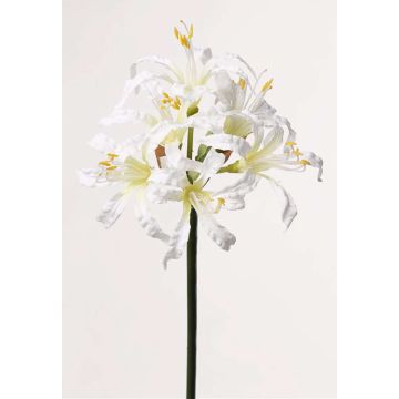 Amaryllis artificial MONJA, blanco, 70cm, Ø12cm Amaryllis artificial MONJA, blanco, 70cm, Ø12cm