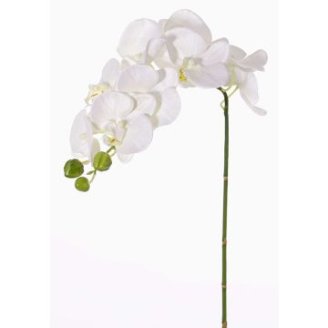 Orquídea Phalaenopsis artificial GALINA, blanco, 60cm, Ø6-8cm