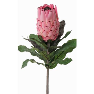 Protea artificial NELLI, rosa-fucsia, 75cm, Ø8cm