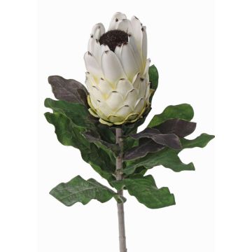 Protea artificial NELLI, blanco-amarillo, 75cm, Ø8cm