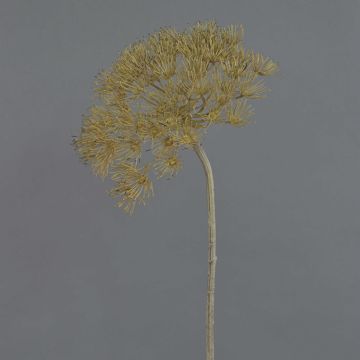 Flor Heracleum artificial ANSARI marrón, 80cm, Ø22cm