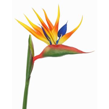 Strelitzia artificial LATIFA, naranja-violeta, 80cm, 17x20cm Strelitzia artificial LATIFA, naranja-violeta, 80cm, 17x20cm