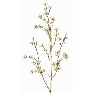 Rama de flor de cera artificial NIANG, crema, 80cm, Ø1,5-2,5cm Rama de flor de cera artificial NIANG, crema, 80cm, Ø1,5-2,5cm