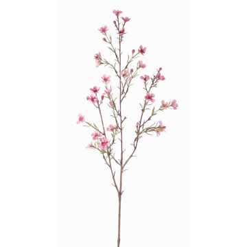 Rama de flor de cera artificial NIANG, rosa-fucsia, 80cm, Ø1,5-2,5cm