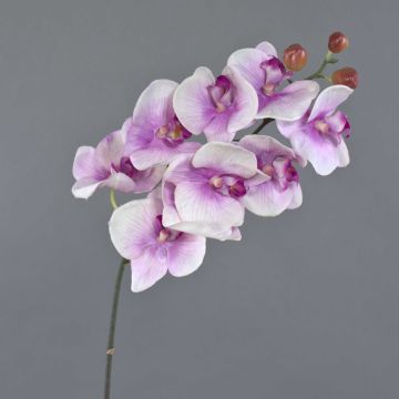 Orquídea Phalaenopsis artificial ENISA, rosa-blanco, 45cm, Ø7cm