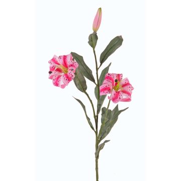 Rama de lirio sintético DANBI, fucsia-rosa, 85cm, Ø9cm Rama de lirio sintético DANBI, fucsia-rosa, 85cm, Ø9cm
