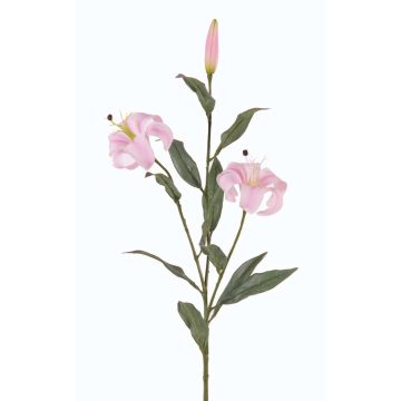 Rama de lirio sintético DANBI, rosa claro, 85cm, Ø9cm Rama de lirio sintético DANBI, rosa claro, 85cm, Ø9cm