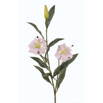 Rama de lirio sintético DANBI, blanco-verde, 85cm, Ø9cm Rama de lirio sintético DANBI, blanco-verde, 85cm, Ø9cm