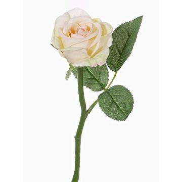 Mini rama de rosa sintética GABI, crema-rosa, 30cm, Ø6cm Mini rama de rosa sintética GABI, crema-rosa, 30cm, Ø6cm