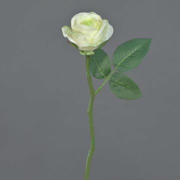 Mini rama de rosa sintética GABI, crema-verde, 25cm, Ø5cm