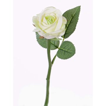 Mini rama de rosa sintética GABI, crema-verde, 30cm, Ø6cm