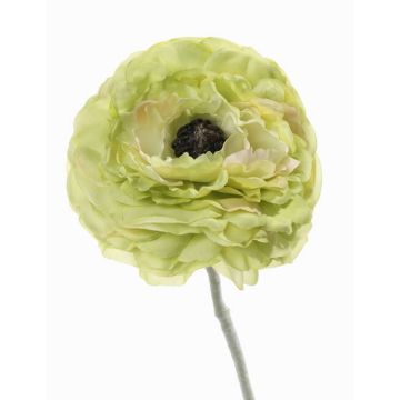 Ranúnculo artificial ALIMA, verde, 35cm, Ø8cm Ranúnculo artificial ALIMA, verde, 35cm, Ø8cm
