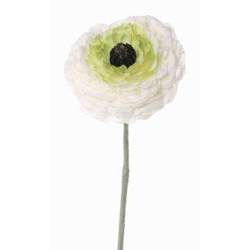 Ranúnculo artificial ALIMA, crema-verde, 35cm, Ø8cm Ranúnculo artificial ALIMA, crema-verde, 35cm, Ø8cm
